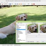IrfanView effects dialog