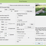 IrfanView print dialog