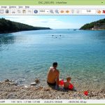 IrfanView viewer win8