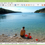 IrfanView viewer win8
