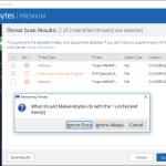 Malwarebytes picture 8