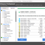 CCleaner Professional screenshot