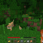 Minecraft-02
