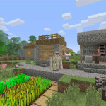 Minecraft-25