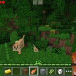 Minecraft-Pocket-Edition-02