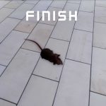 Slap-the-Fly-Screenshot_9