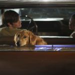 A-Dog's-Purpose-Był-sobie-pies-07