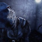 dead-by-daylight-16