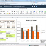 microsoft_excel_2010_web_app_sharepoint_web