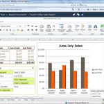 microsoft_excel_2010_web_app_sharepoint_web