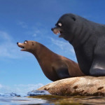 finding-dory-01