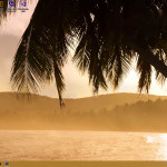 wallpaper-engine-03