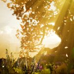 hellblade-senuas-sacrifice-02