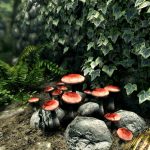 the-elder-scrolls-v-skyrim-special-edition-02