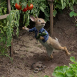 Peter-Rabbit-02
