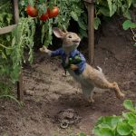 Peter-Rabbit-02