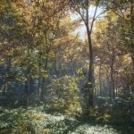 theHunter-Call-of-the-Wild-01