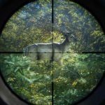 theHunter-Call-of-the-Wild-03
