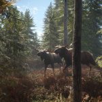 theHunter-Call-of-the-Wild-04
