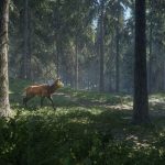 theHunter-Call-of-the-Wild-16