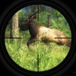 theHunter-Classic-03