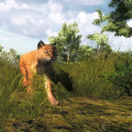 theHunter-Classic-04