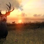 theHunter-Classic-05