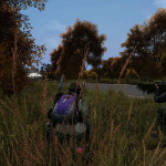 DayZ-004