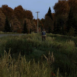DayZ-006