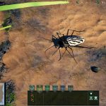 Empires-of-the-Undergrowth-007