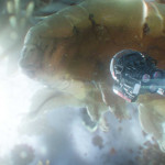 Ant-Man-and-The-Wasp-014