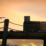 Red-Dead-Redemption-005