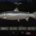 Russian-Fishing-4-001