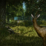 The-Witcher-2-Assassins-of-Kings-Enhanced-Edition-002