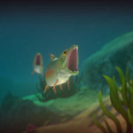 Feed-and-Grow-Fish-004