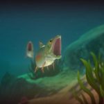 Feed-and-Grow-Fish-004