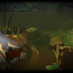 Feed-and-Grow-Fish-006