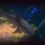 Feed-and-Grow-Fish-008