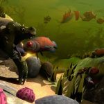 Feed and Grow: Fish