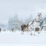 Harry-Potter-and-the-Chamber-of-Secrets-007