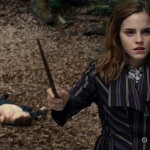 Harry-Potter-and-the-Deathly-Hallows-Part-1-007