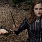 Harry-Potter-and-the-Deathly-Hallows-Part-1-007