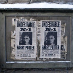 Harry-Potter-and-the-Deathly-Hallows-Part-2-005