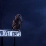 Harry-Potter-and-the-Sorcerers-Stone-002