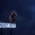 Harry-Potter-and-the-Sorcerers-Stone-002