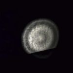 Slender_The-Eight-Pages-003