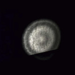 Slender_The-Eight-Pages-003