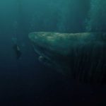 The-Meg-014