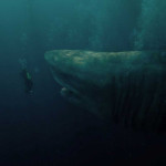 The-Meg-014