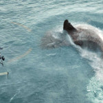 The-Meg-031